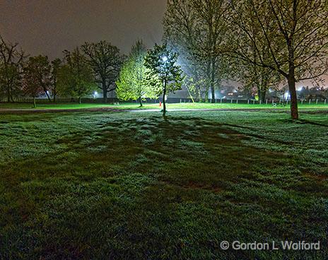 Park At Night_00274.jpg - Photographed at Smiths Falls, Ontario, Canada.